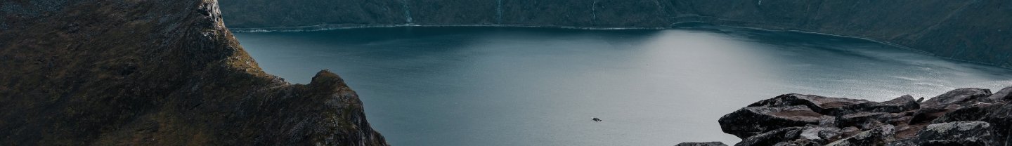 自由的笔记